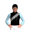 Jockey Silk