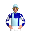 Jockey Silk