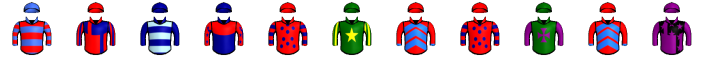 Runner silk