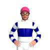 Jockey Silk