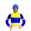 Jockey Silk