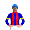 Jockey Silk