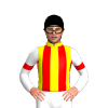 Jockey Silk