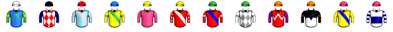 Runner silk