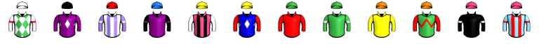 Runner silk