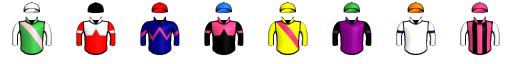 Runner silk