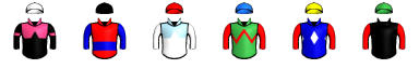 Runner silk
