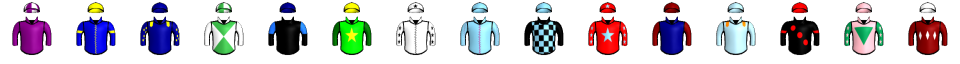 Runner silk