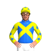 Jockey Silk