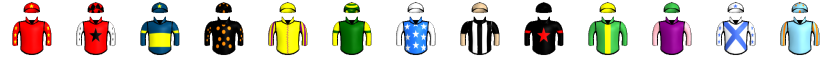 Runner silk