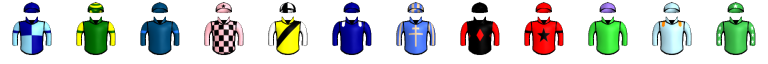 Runner silk