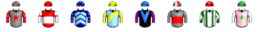 Runner silk