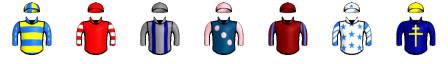 Runner silk
