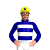 Jockey Silk