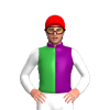 Jockey Silk