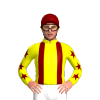 Jockey Silk