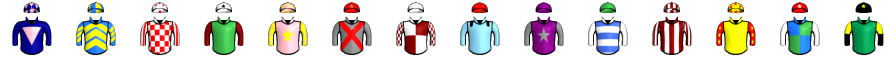 Runner silk