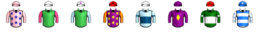 Runner silk