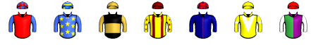 Runner silk