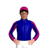 Jockey Silk