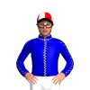 Jockey Silk