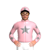 Jockey Silk