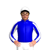 Jockey Silk
