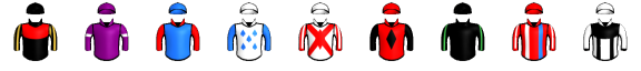 Runner silk