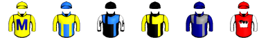 Runner silk
