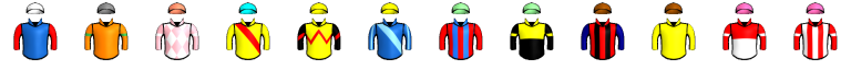 Runner silk