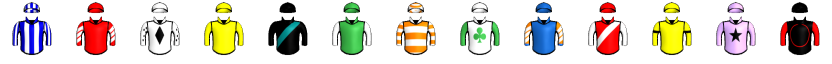 Runner silk