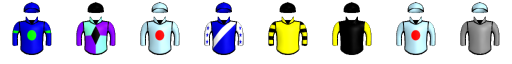 Runner silk