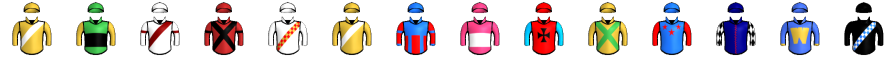 Runner silk