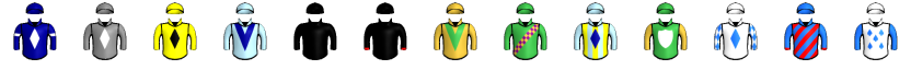Runner silk