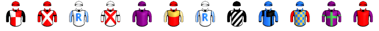 Runner silk