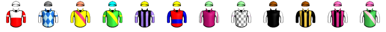 Runner silk