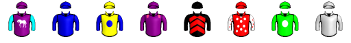 Runner silk