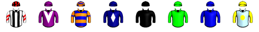 Runner silk