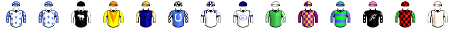 Runner silk