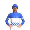 Jockey Silk