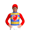 Jockey Silk