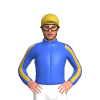 Jockey Silk