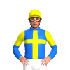 Jockey Silk