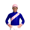 Jockey Silk