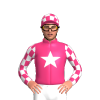 Jockey Silk