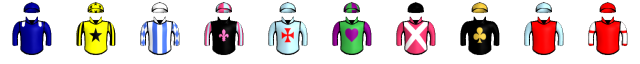 Runner silk