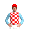 Jockey Silk
