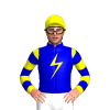 Jockey Silk