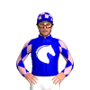 Jockey Silk