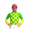 Jockey Silk